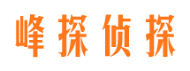 铜鼓小三调查